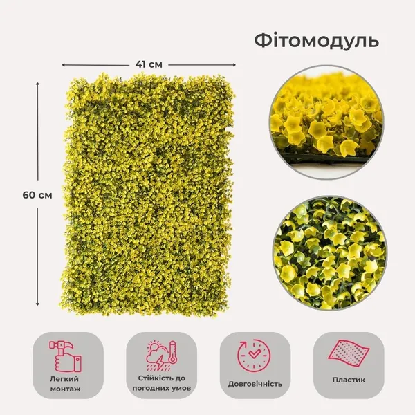 Штучний фітомодуль "Самшит золотий", 60*41 см (9281-003)