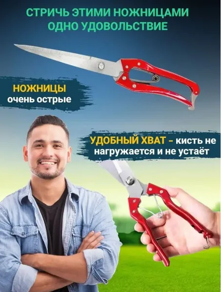 Ножиці для стрижки овець та баранів - професійні ручні для грумінгу (ножиці для саду та городу) — фото 6